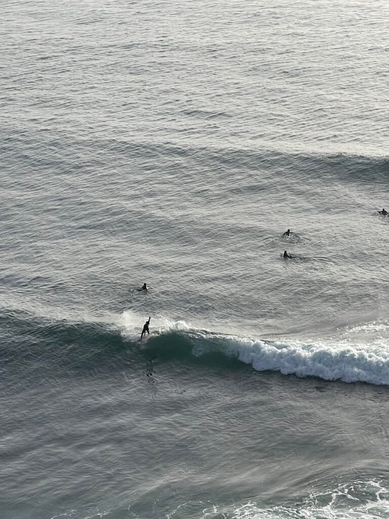 surfista-encima-de-una-ola